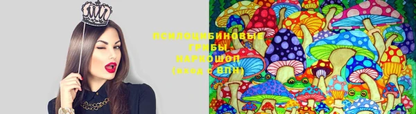 МДМА Абдулино