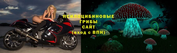 ECSTASY Абинск