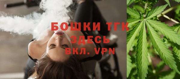 винт Абаза