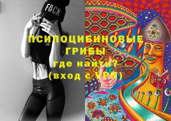 винт Абаза