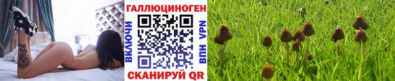 как найти наркотики  ОМГ ОМГ сайт  Галлюциногенные грибы Psilocybine cubensis  Суоярви 